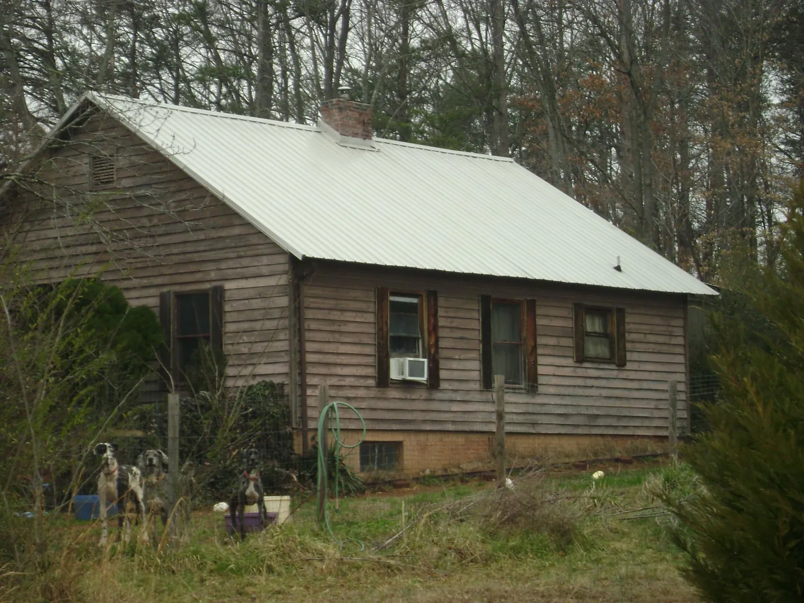 White metal roof on an old wood sided farmhouse, from a Asphalt Shingle Roof Repair job in Danese